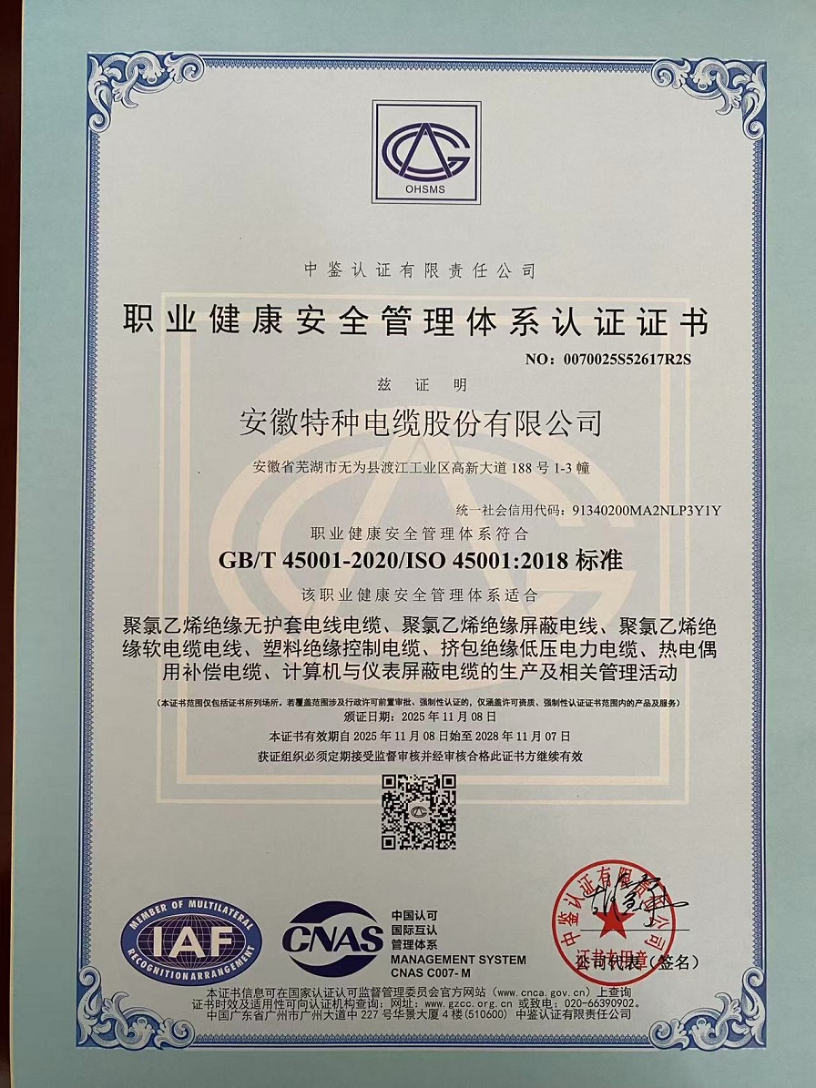 職業(yè)健康安 全管理體系認(rèn)證證書中文版